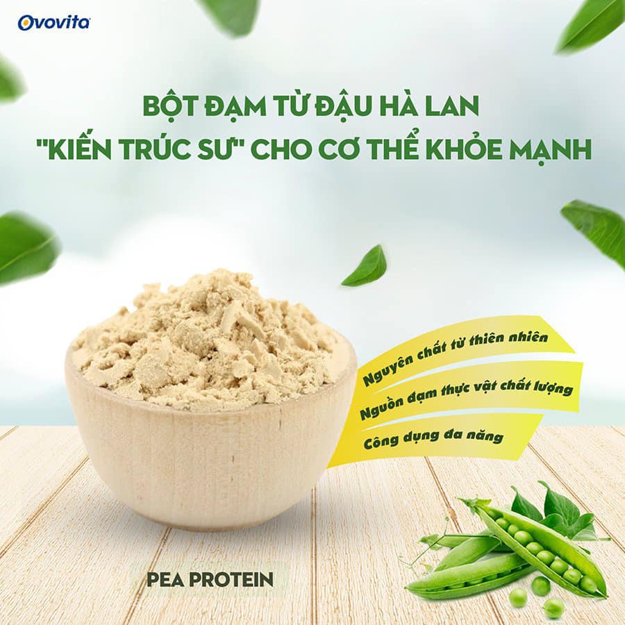 bot-protein-dau-ha-lan-Ovovita