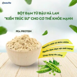 protein-dau-ha-lan-Ovovita