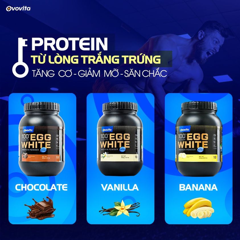 long-trang-trung-ga-tang-co-Ovovita