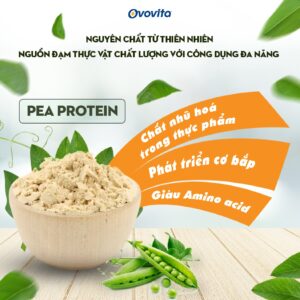 protein-la-gi-Ovovita