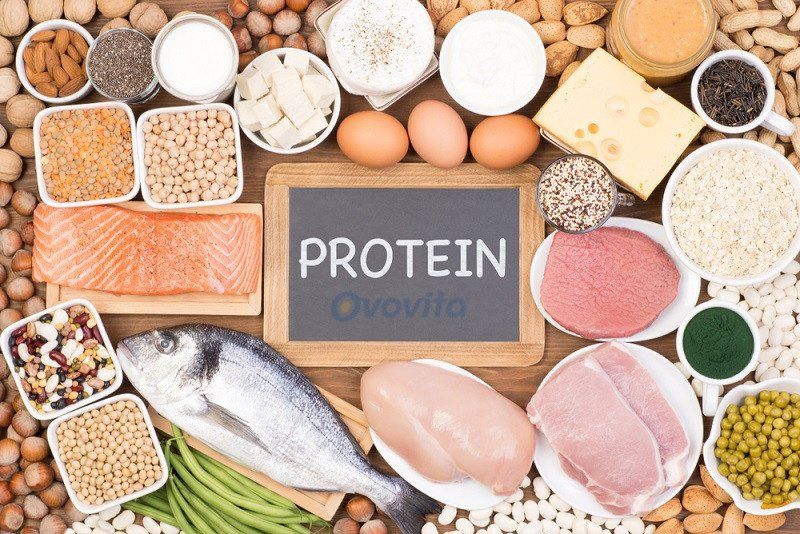 Protein là gì, được cấu tạo từ đâu (Ảnh: Sưu tầm)