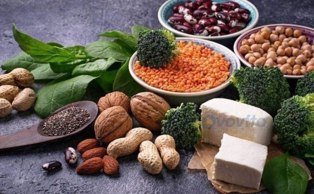 Thực phẩm giàu protein thực vật (Ảnh: Sưu tầm)